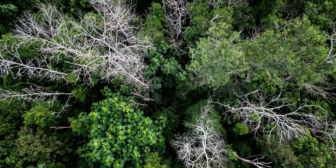 1160 x  580 (46).png